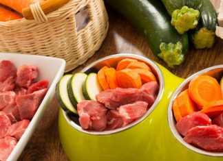 Should I Feed My Dog or Cat a Raw Diet-petsourcing