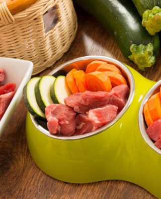 Should I Feed My Dog or Cat a Raw Diet-petsourcing