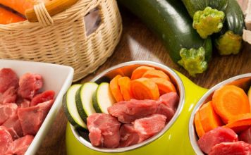 Should I Feed My Dog or Cat a Raw Diet? Should I Feed My Dog or Cat a Raw Diet-petsourcing