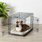 Single Door & Double Door Folding Metal Dog Crate-petsourcing