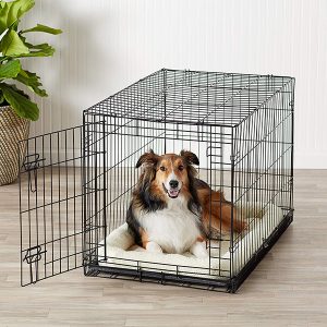 Single Door & Double Door Folding Metal Dog Crate-petsourcing