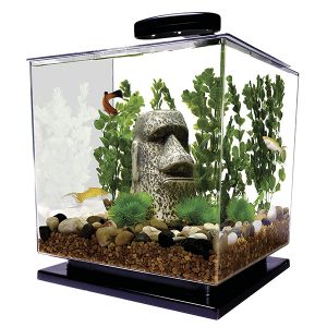 Choosing the Right Aquarium,fish tank,aquarium, Aquarium Material