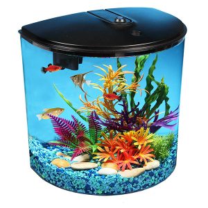 Choosing the Right Aquarium,fish tank,aquarium, Aquarium Material