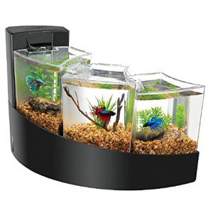 petsourcing-Aqueon Betta Falls Kit