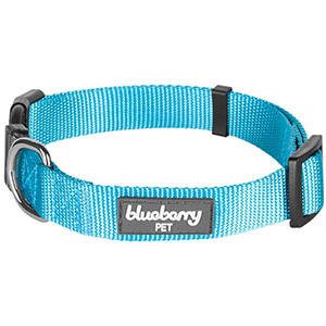 petsourcing-Blueberry Pet Classic Collars or Seatbelts