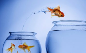 Choosing the Right Aquarium,fish tank,aquarium, Aquarium Material,petsourcing