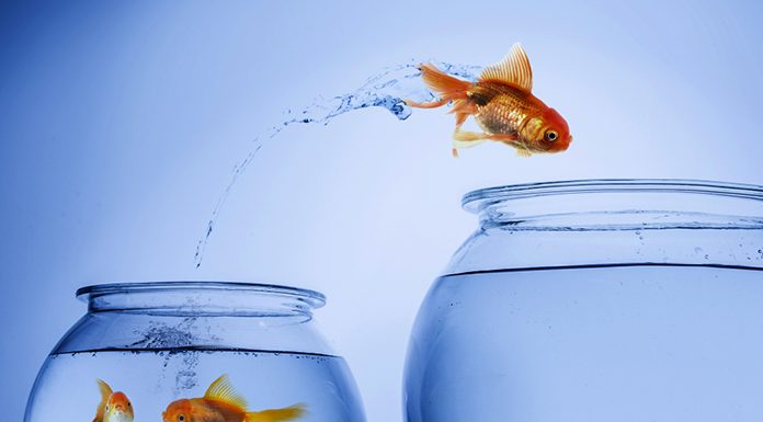 Choosing the Right Aquarium,fish tank,aquarium, Aquarium Material,petsourcing