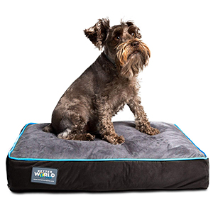 petsourcing-Dog Bed