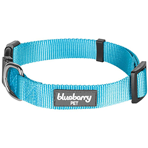 petsourcing-Dog Collar