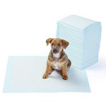 petsourcing-Pet Training and Puppy Pads