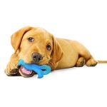 petsourcing-Puppy Chew Toy