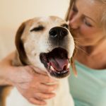 petsourcing-The Benefits of Having a Dog