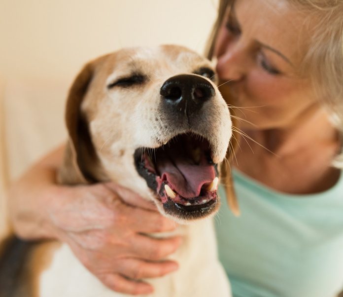 petsourcing-The Benefits of Having a Dog