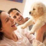 petsourcing-Things to Buy Before You Pick Up Your Puppy