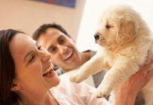 Bringing Home a New Puppy Dog – Puppy Supplies Checklist