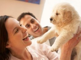 Bringing Home a New Puppy Dog – Puppy Supplies Checklist