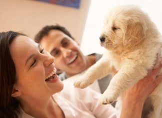 Bringing Home a New Puppy Dog – Puppy Supplies Checklist