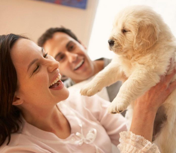 Bringing Home a New Puppy Dog – Puppy Supplies Checklist