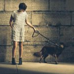 Walking Your Dog in the Dark