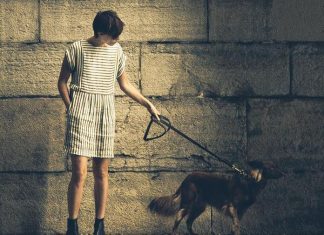 Walking Your Dog in the Dark