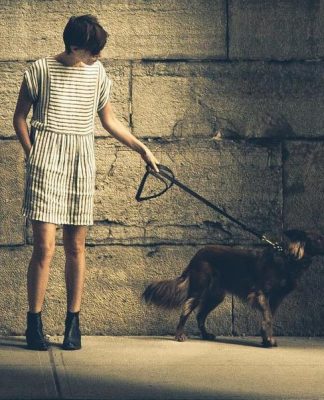 5 Important Tips for Walking Your Dog When It’s Dark Out Walking Your Dog in the Dark