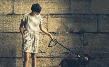 Walking Your Dog in the Dark