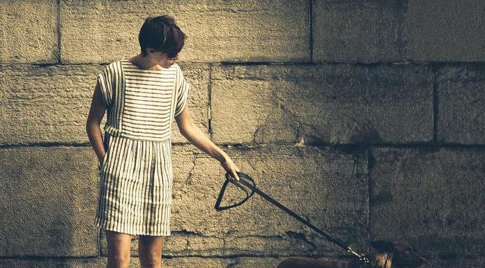 Walking Your Dog in the Dark