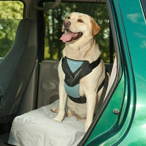 Bergan Dog Auto Harness with Tether-petsourcing