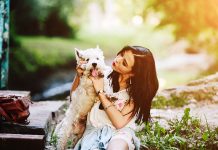 How to Find the Perfect Pet Sitter-petsourcing