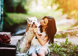 How to Find the Perfect Pet Sitter-petsourcing
