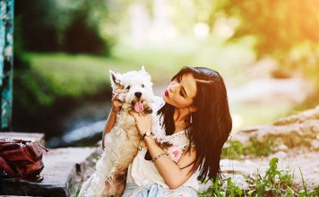 How to Find the Perfect Pet Sitter-petsourcing