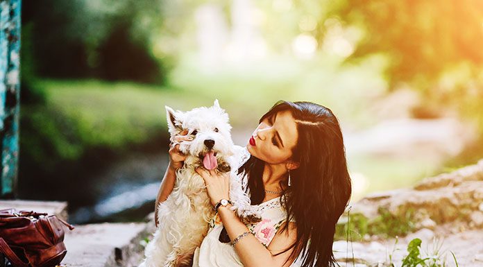How to Find the Perfect Pet Sitter-petsourcing