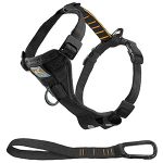 Kurgo Dog Harness-petsourcing
