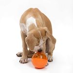 OurPets IQ Treat Ball Interactive Food Dispensing Dog Toy-petsourcing