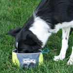 Outward dog bowl-petsourcing