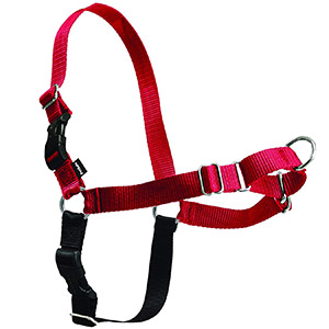 PetSafe Easy Walk Dog Harness-petsourcing