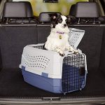 Two-Door Top-Load Pet Kennel-petsourcing