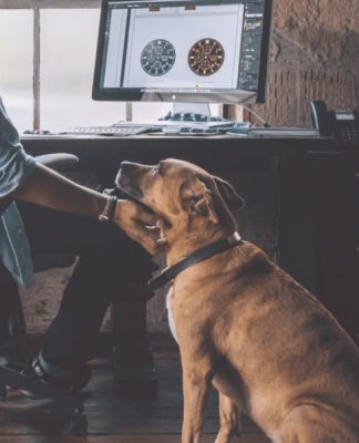 Working Pet Parent Tips-petsourcing