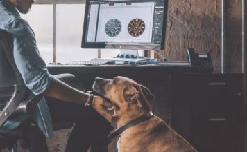 Working Pet Parent Tips-petsourcing