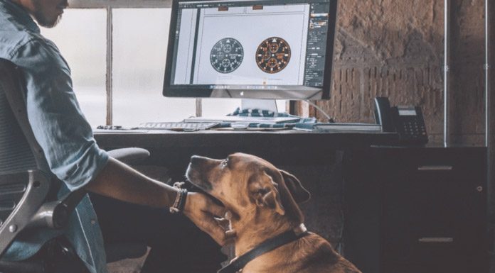 Working Pet Parent Tips-petsourcing