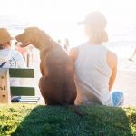 petsourcing-Summer Dog Grooming Tips