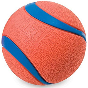 petsourcing-dog toy ball