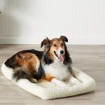 Padded Pet Bolster Bed-petsourcing