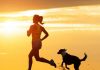 How to Run With Your Dog－petsourcing