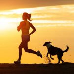 How to Run With Your Dog－petsourcing