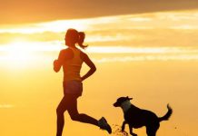 How to Run With Your Dog－petsourcing