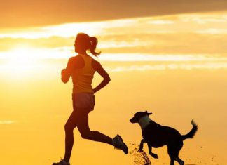 How to Run With Your Dog－petsourcing