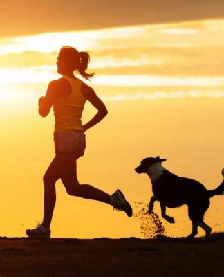 How to Run With Your Dog－petsourcing