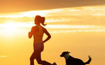 How to Run With Your Dog－petsourcing
