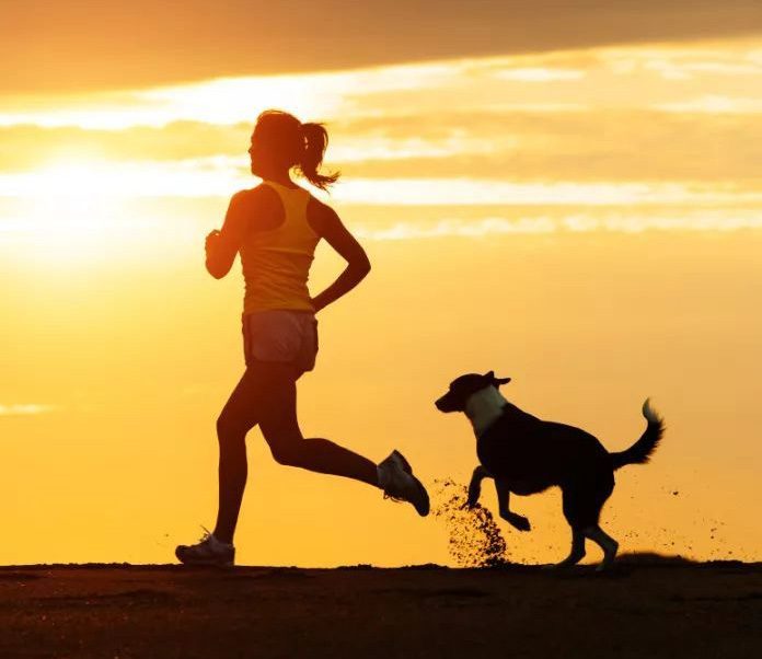 How to Run With Your Dog－petsourcing